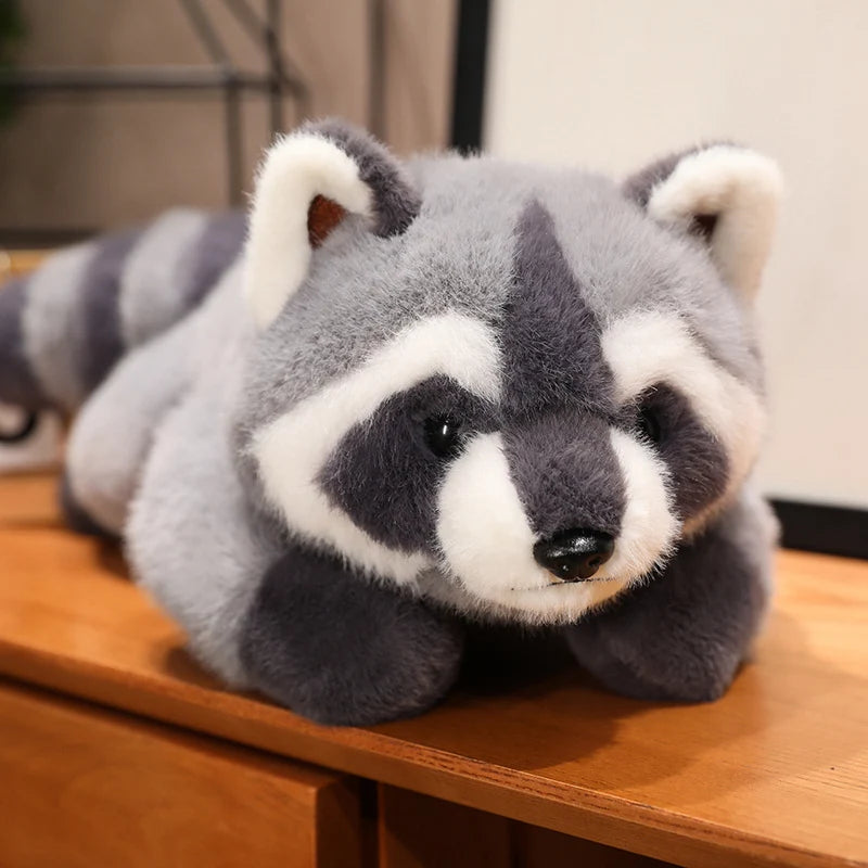 Plush racoon shop