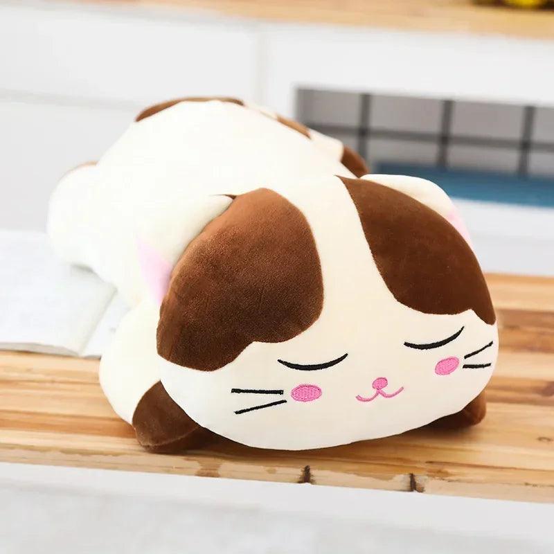 Sleepy Cutie - Hana the Cat - MoeMoeKyun