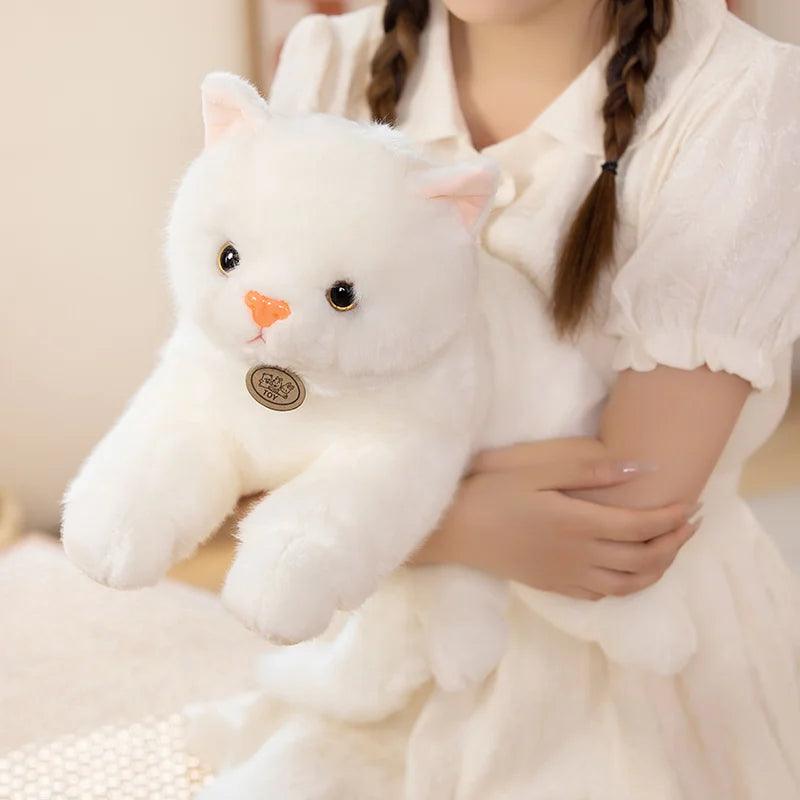 White Kitten Plushies - MoeMoeKyun